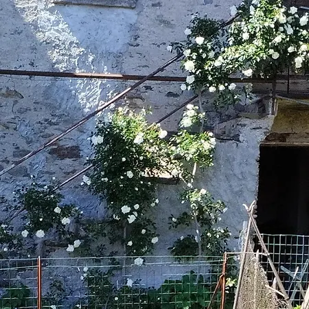 Il Forno *